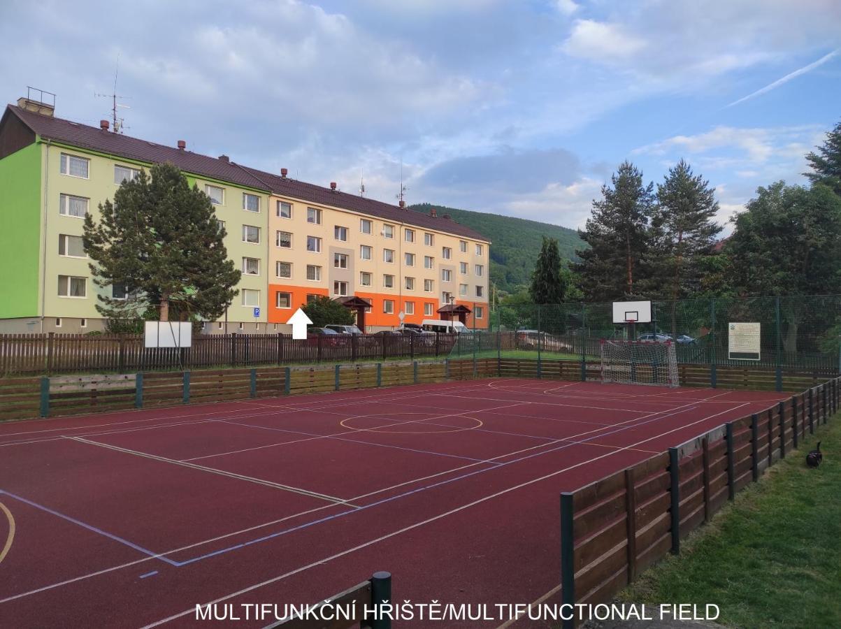 Loučná nad DesnouDobre Misto公寓 外观 照片
